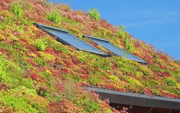 Ingleby Cross living roof systems